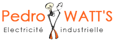 Pedrowatts logo